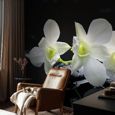 3D fototapetas sienoms Bloomster og sten