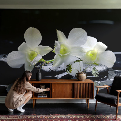 3D fototapetas sienoms su „Bloomster“ ir akmens raštu