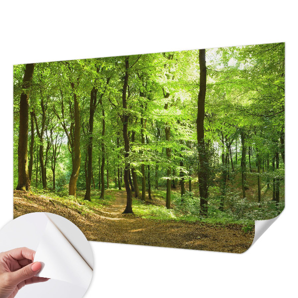 3D fototapetas sienoms Natūralus stilius
