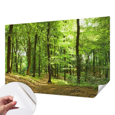 3D fototapetas sienoms Natūralus stilius