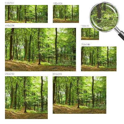 3D fototapetas sienoms Natūralus stilius