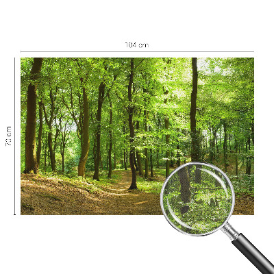 3D fototapetas sienoms Natūralus stilius