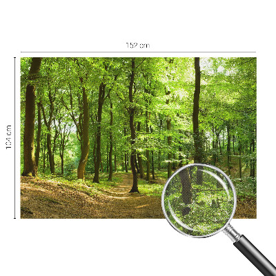 3D fototapetas sienoms Natūralus stilius