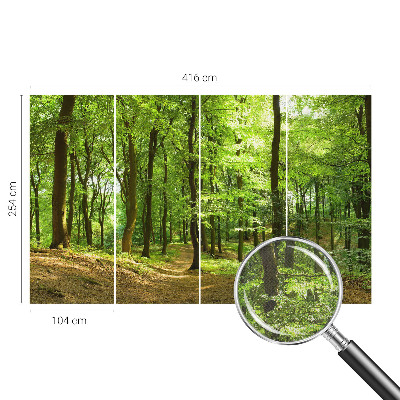 3D fototapetas sienoms Natūralus stilius