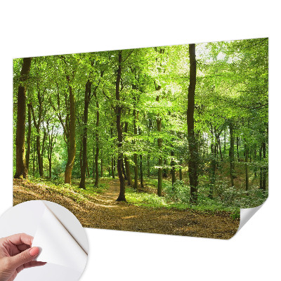 3D fototapetas sienoms Natūralus stilius