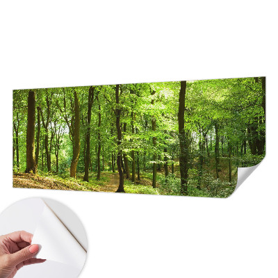 3D fototapetas sienoms Natūralus stilius
