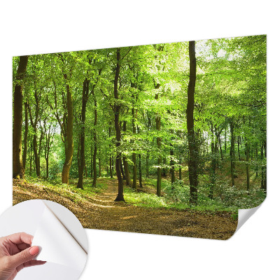 3D fototapetas sienoms Natūralus stilius