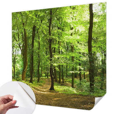 3D fototapetas sienoms Natūralus stilius