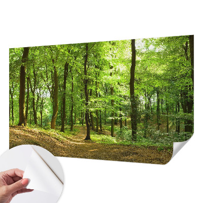 3D fototapetas sienoms Natūralus stilius