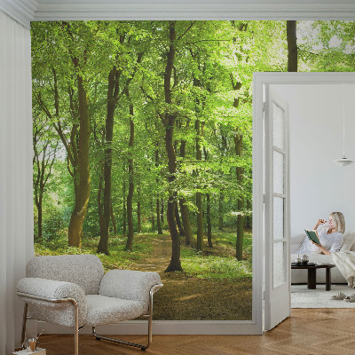 3D fototapetas sienoms Natūralus stilius