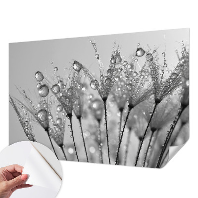 Fototapetas vaikams Våd delikatesai