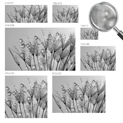 Fototapetas vaikams Våd delikatesai