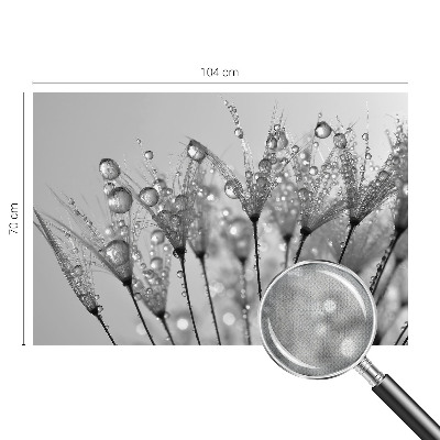 Fototapetas vaikams Våd delikatesai