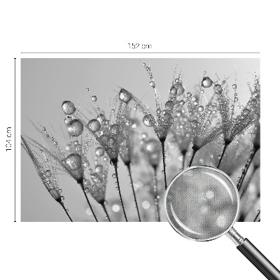 Fototapetas vaikams Våd delikatesai