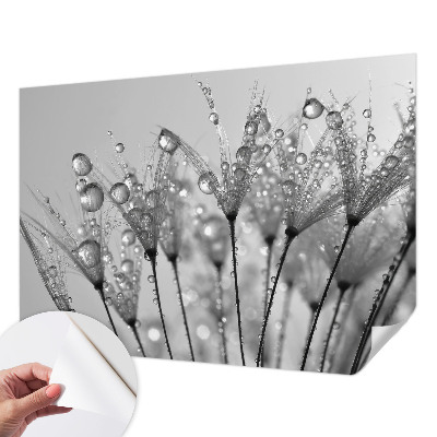 Fototapetas vaikams Våd delikatesai