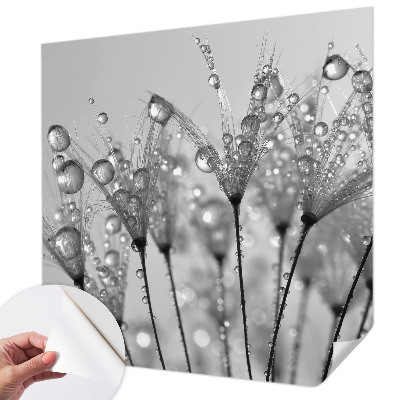 Fototapetas vaikams Våd delikatesai