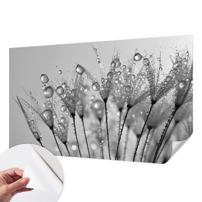 Fototapetas vaikams Våd delikatesai