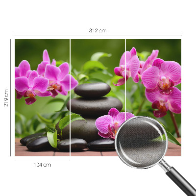 Savaime lipnus fototapetas su Orkidésten raštu