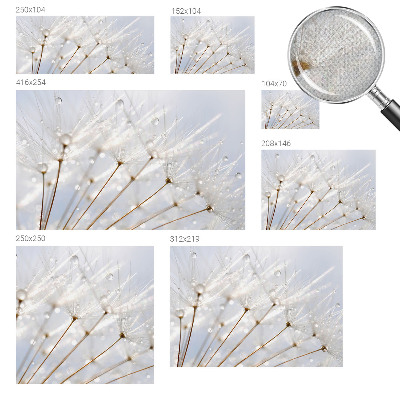 Tapetai Rosenrød mælkebøtte