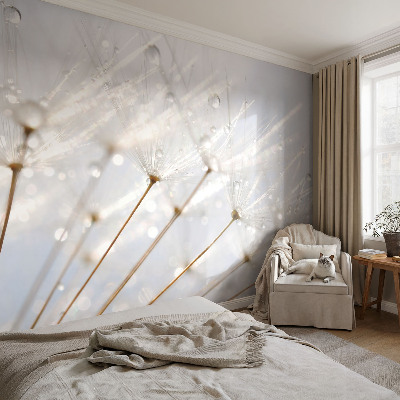 Tapetai Rosenrød mælkebøtte