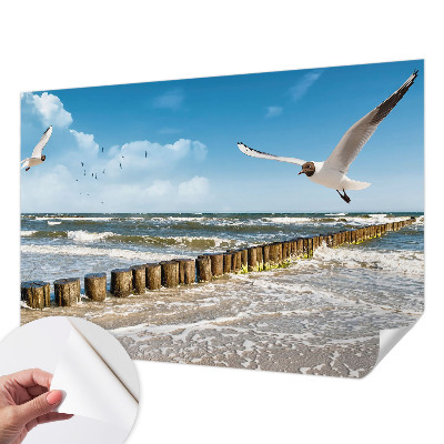 3D fototapetas su pajūrio peizažo motyvu
