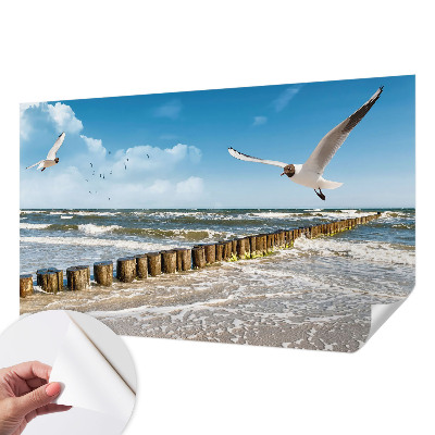 3D fototapetas su pajūrio peizažo motyvu
