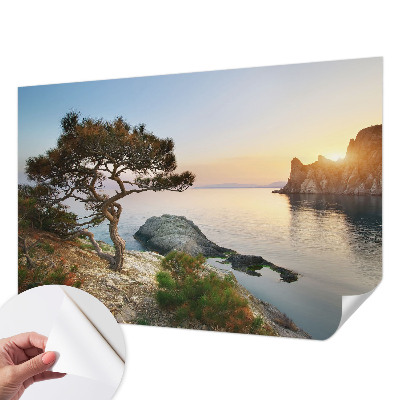 3D fototapetas sienoms su Fredeligo natūraliu raštu