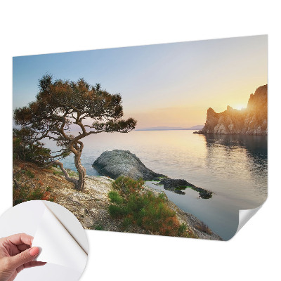 3D fototapetas sienoms su Fredeligo natūraliu raštu