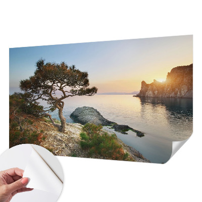 3D fototapetas sienoms su Fredeligo natūraliu raštu