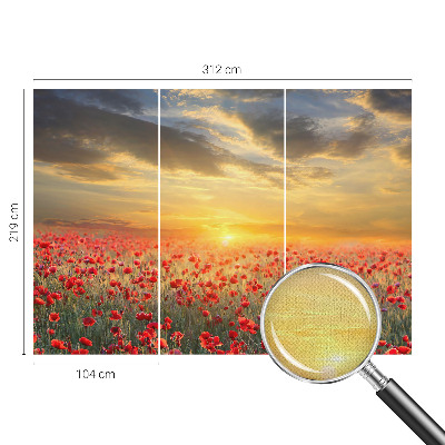 Fototapetas vaiko kambariui Valmuefeltas