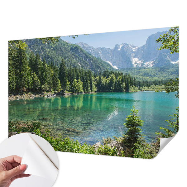 Tapetai Žaliasis slėnis