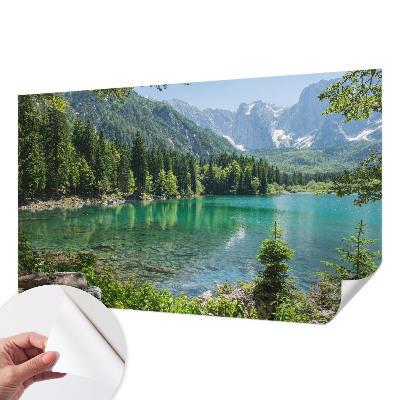 Tapetai Žaliasis slėnis