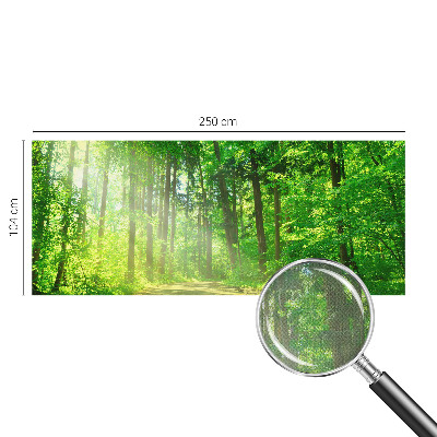 Fototapetas vaikams Skovsti