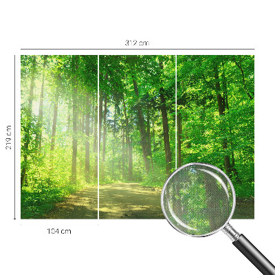 Fototapetas vaikams Skovsti