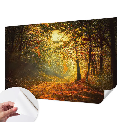 Savaime lipnus fototapetas su rudens kraštovaizdžiu