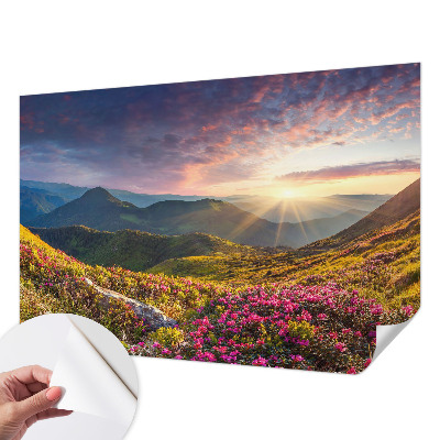 Fototapetai su Bjergo panorama