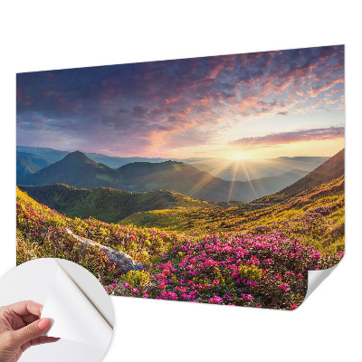 Fototapetai Bjergo panorama