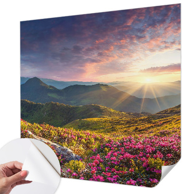 Fototapetai su Bjergo panorama