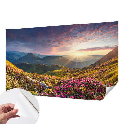 Fototapetai Bjergo panorama