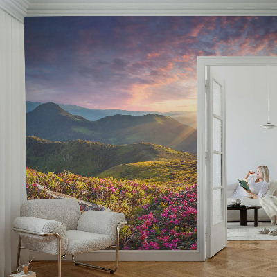 Fototapetai su Bjergo panorama
