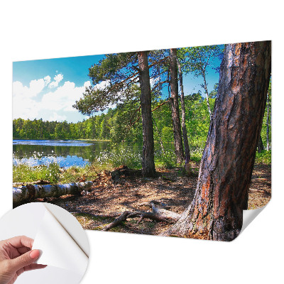 Fototapetas vaiko kambariui su Skovlandskabas motyvu