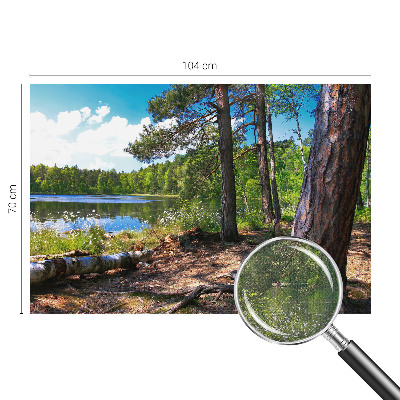 Fototapetas vaiko kambariui Skovlandskabas