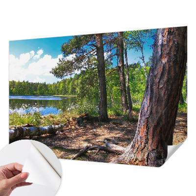 Fototapetas vaiko kambariui su Skovlandskabas motyvu
