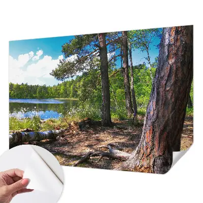 Fototapetas vaiko kambariui su Skovlandskabas motyvu