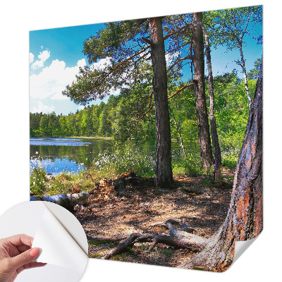 Fototapetas vaiko kambariui su Skovlandskabas motyvu