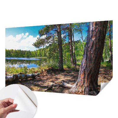 Fototapetas vaiko kambariui su Skovlandskabas motyvu