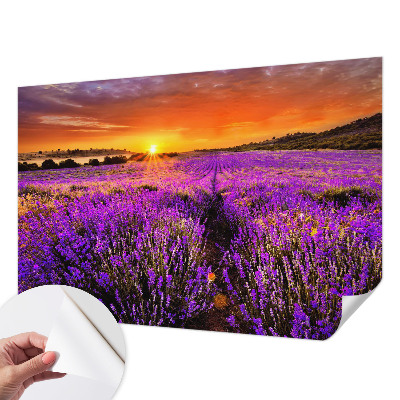 3D fototapetas sienoms su levandų motyvu „Solnedgangas“