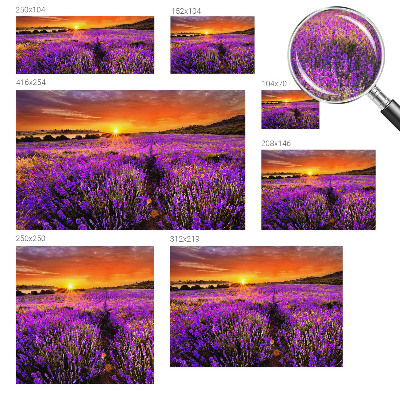3D fototapetas sienoms su levandų motyvu „Solnedgangas“