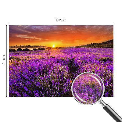 3D fototapetas sienoms su levandų motyvu „Solnedgangas“