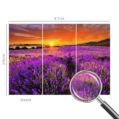3D fototapetas sienoms su levandų motyvu „Solnedgangas“